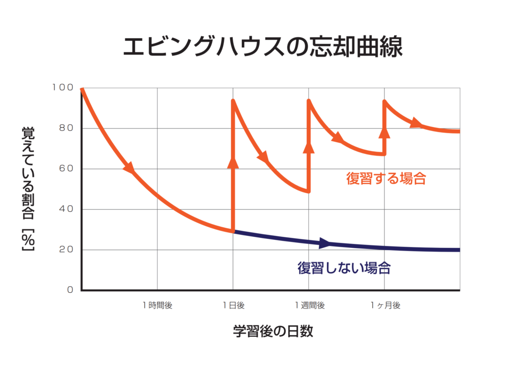 エビングハウスの忘却曲線